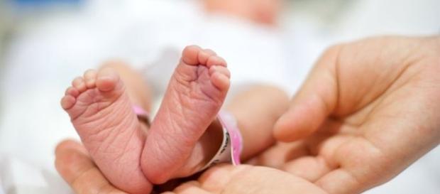 Cartão de saúde de bebê no Canadá não diz o sexo da criança (Foto: Reprodução) Cartão de saúde de bebê no Canadá não diz o sexo da criança (Foto: Reprodução)