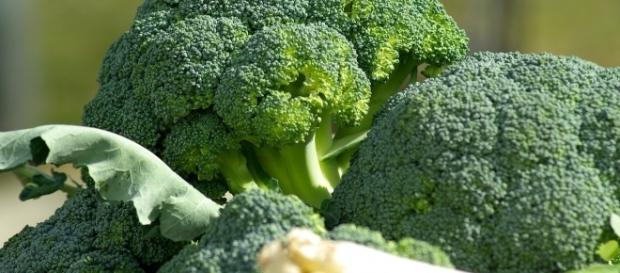 I broccoli possono aiutare a tenere sotto controllo il diabete I broccoli possono aiutare a tenere sotto controllo il diabete