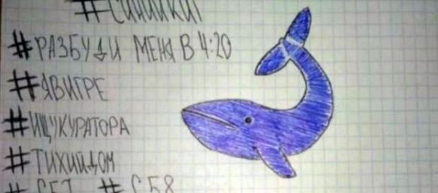 Niños y adolescentes están jugando a la "Ballena Azul" Niños y adolescentes están jugando a la "Ballena Azul"