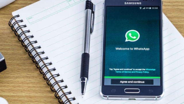 Come personalizzare le notifiche su WhatsApp | Libero Tecnologia - libero.it