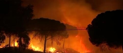 Photo fire in Donana National Park screen capture from YouTube / euronews (en español)