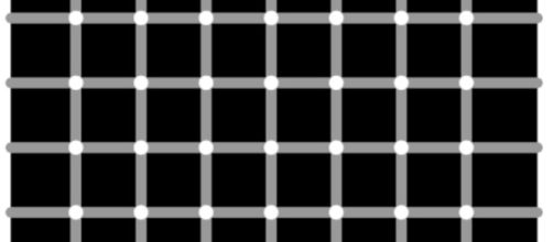 Here's why you can't see all 12 black dots in this crazy optical ... - sciencealert.com