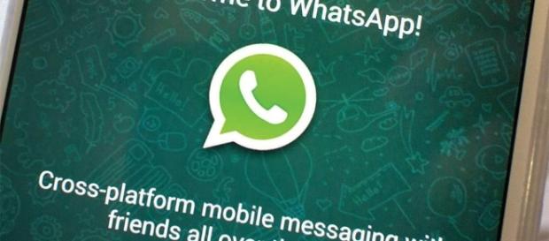 16 tips that make WhatsApp More worthy - Pexels 16 tips that make WhatsApp More worthy - Pexels