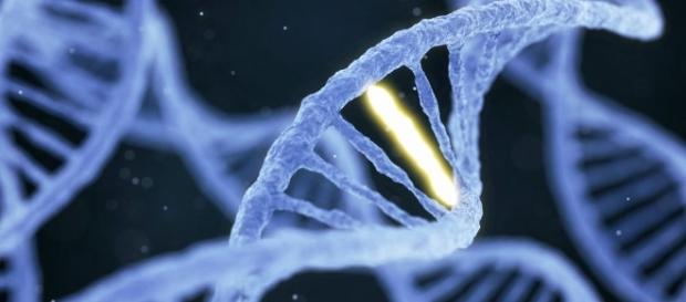 Blocking Breast Cancer Mutations Seen to Largely Stop Metastasis - breastcancer-news.com Blocking Breast Cancer Mutations Seen to Largely Stop Metastasis - breastcancer-news.com