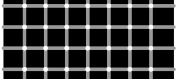 Here's why you can't see all 12 black dots in this crazy optical ... - sciencealert.com Here's why you can't see all 12 black dots in this crazy optical ... - sciencealert.com