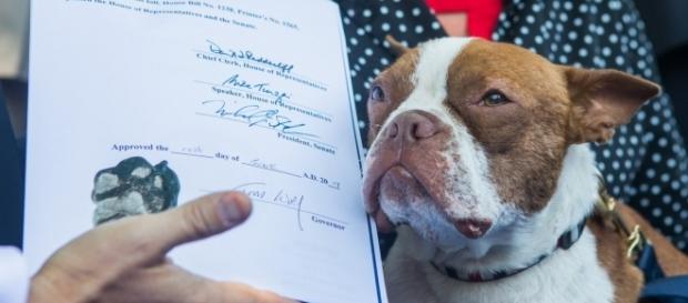 Libre adds Paw Print to Libre's Law to fight animal cruelty - Photo courtesy of Governor Tom Wolf via Flickr, license Creative Commons 2.0 Libre adds Paw Print to Libre's Law to fight animal cruelty - Photo courtesy of Governor Tom Wolf via Flickr, license Creative Commons 2.0