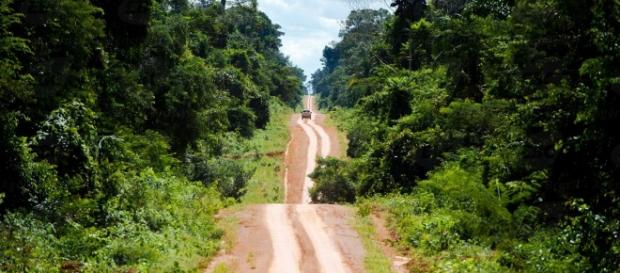 O desmatamento é uma ameça real de destruição da Floresta Amazônica O desmatamento é uma ameça real de destruição da Floresta Amazônica