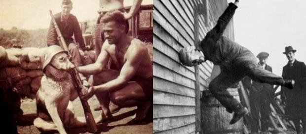 Você pensa que já viu tudo que havia de bizarro neste mundo? (Fotos: Reprodução/Mistérios do Mundo) Você pensa que já viu tudo que havia de bizarro neste mundo? (Fotos: Reprodução/Mistérios do Mundo)