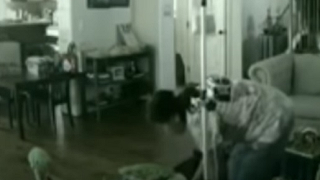 Babysitter picchia un bambino con disabilit&agrave;: arrestata dopo la segnalazione dei genitori