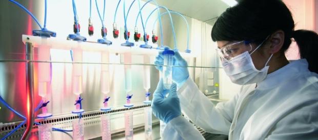 Empresas biotecnológicas en México surgen de la investigación aplicada Empresas biotecnológicas en México surgen de la investigación aplicada