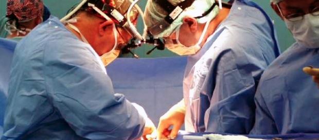 Researchers believe they solved the problem of organ rejection. - wikimedia.org Researchers believe they solved the problem of organ rejection. - wikimedia.org
