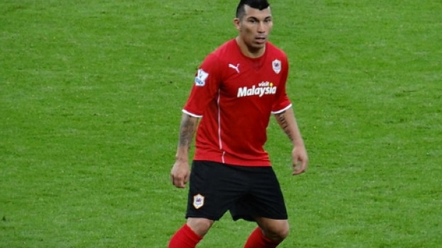 Medel verso la cessione, le possibili destinazioni (Ph. Wikimedia Commons - Author Jon Candy)