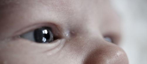British infant denied medical treatment in the U.S via Eric Lanning (Flickr)