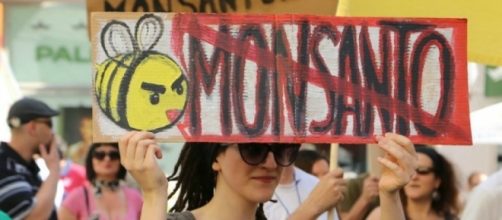 La California contro Monsanto: è guerra al glifosato