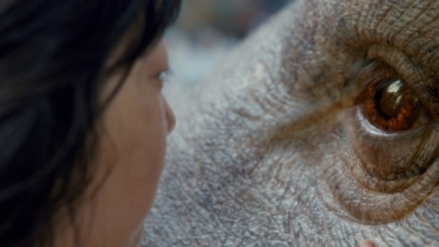 Okja &egrave; disponibile su Netflix dal 28 giugno