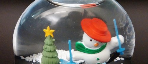 Elizabeth LaBau's snow globe cupcake recipe went viral. - Pixabay/Brett Hondow