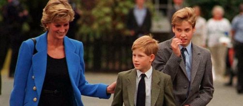 Prince William And Prince Harry Just Commissioned A Statue Of ... - pinterest.com