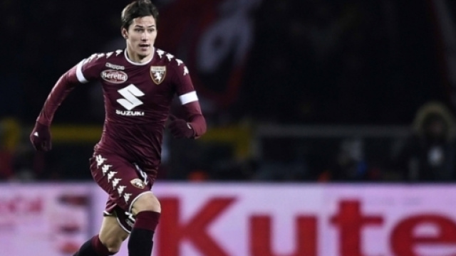 Sasa Lukic, centrocampista del Torono