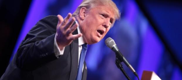 donaldtrump17644612200_499df72c8c_b donaldtrump17644612200_499df72c8c_b