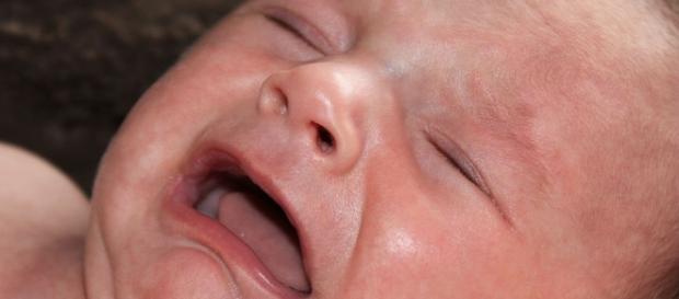 President Trump offers support for British baby Charlie Gard(CC0 Public Domain, Pixabay) President Trump offers support for British baby Charlie Gard(CC0 Public Domain, Pixabay)