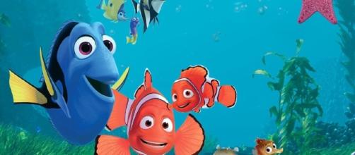 Finding Nemo | Pixar Wiki | Fandom powered by Wikia - wikia.com