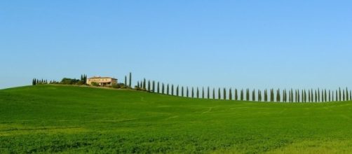 Le vacanze in agriturismo piacciono soprattutto agli stranieri.