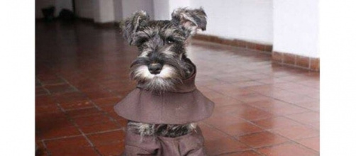 Fray Bigotón, el perro religioso - com.ec