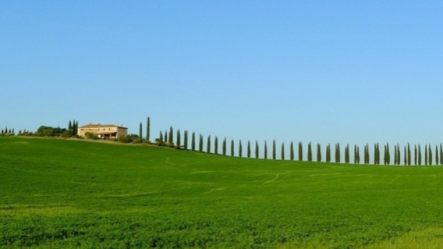 Le vacanze in agriturismo piacciono soprattutto agli stranieri.