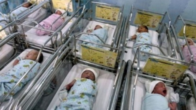 Olanda, causa contro la banca del seme