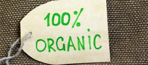 Why Organic? — Natural Health Improvement Center - nhicwestmi.com