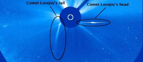 Comet 2011 Lovejoy, Sungrazer family. Credit: SOHO / NASA