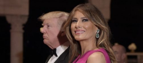 Melania Trump releases official White House portrait (photos ... - syracuse.com