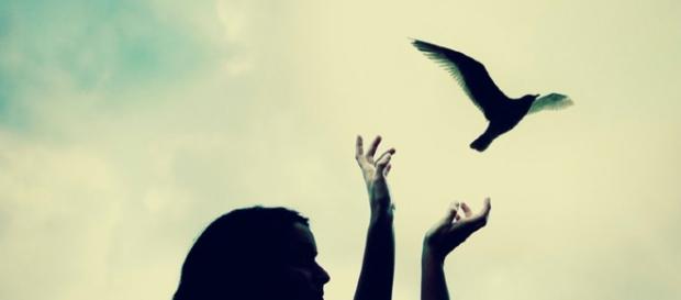 Aprende a soltar sin lastimarte Aprende a soltar sin lastimarte