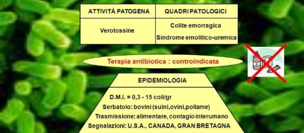 Bambina di 15 mesi muore di Seu. Bambina di 15 mesi muore di Seu.