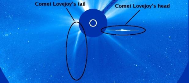Comet 2011 Lovejoy, Sungrazer family. Credit: SOHO / NASA Comet 2011 Lovejoy, Sungrazer family. Credit: SOHO / NASA