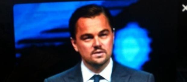 El actor se ha mostrado preocupado por la posible extinción de la vaquita marina (via Twitter - @LeoDicaprio) El actor se ha mostrado preocupado por la posible extinción de la vaquita marina (via Twitter - @LeoDicaprio)