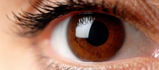 Entenda por que os olhos castanhos são tão especiais Entenda por que os olhos castanhos são tão especiais