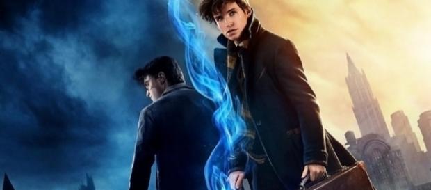Qual personagem de Harry Potter você gostaria de ver em ''Animais Fantásticos e Onde Habitam''? Foto: Divulgação/Warner Qual personagem de Harry Potter você gostaria de ver em ''Animais Fantásticos e Onde Habitam''? Foto: Divulgação/Warner