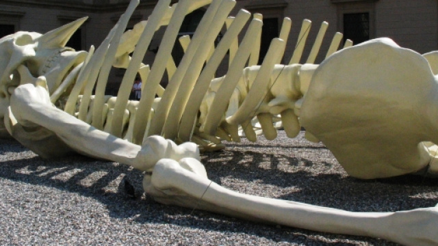 Calamita Cosmica di Gino de Dominicis