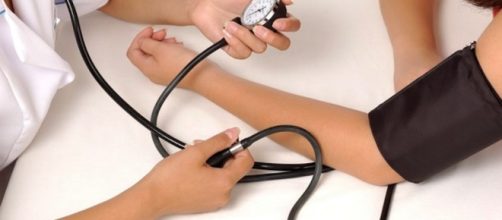 Which Herbs Can Lower Blood Pressure? – Natural Healing ... - pafarmnews.com