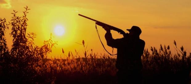 Caza deportiva en México: ¿matar para conservar o maltrato animal? - sinembargo.mx Caza deportiva en México: ¿matar para conservar o maltrato animal? - sinembargo.mx