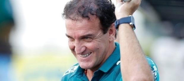 Técnico do Palmeiras tem que opinar entre dois jogadores ( Foto: Reprodução) Técnico do Palmeiras tem que opinar entre dois jogadores ( Foto: Reprodução)