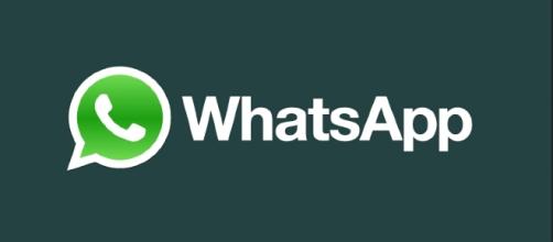 new whatsapp update new whatsapp update