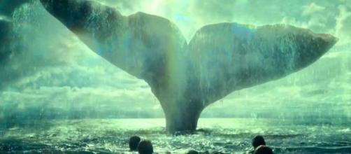Qual foi o ataque de baleia mais marcante da história? (Foto: Reprodução)