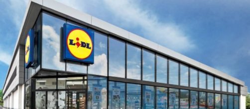 LIDL assume personale in diverse posizioni