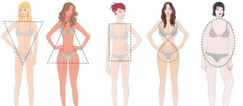 Seu formato de corpo e sua personalidade; conheça os detalhes por trás dele