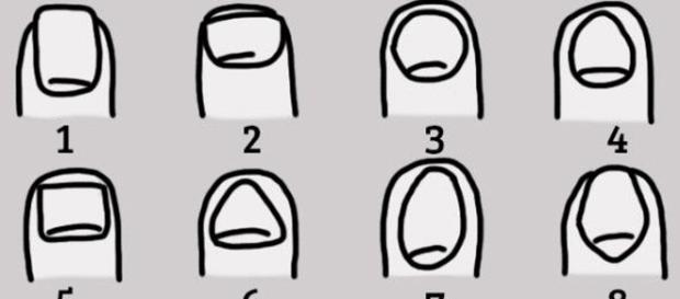 As unhas têm grande importância para seu corpo e sua personalidade As unhas têm grande importância para seu corpo e sua personalidade