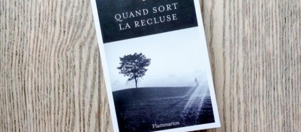 Couverture du roman policier mettant, une fois de plus, en scène le commissaire Adamsberg Couverture du roman policier mettant, une fois de plus, en scène le commissaire Adamsberg