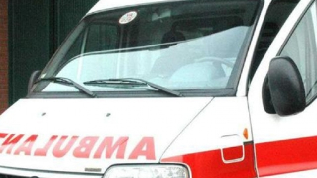 Tragedia in Calabria, cade da un albero e muore