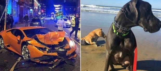 Em horas difíceis, o melhor a se fazer é manter a calma Em horas difíceis, o melhor a se fazer é manter a calma